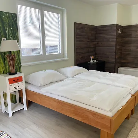 Kaltenegger דירה *